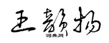 曾庆福王韵扬草书个性签名怎么写