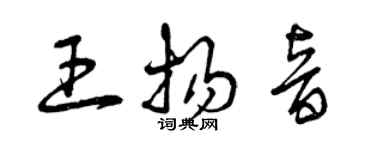 曾庆福王扬音草书个性签名怎么写