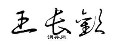 曾庆福王长欢草书个性签名怎么写