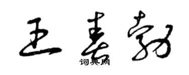 曾庆福王春勃草书个性签名怎么写