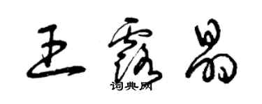 曾庆福王露晶草书个性签名怎么写