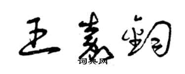 曾庆福王嘉钧草书个性签名怎么写