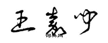 曾庆福王嘉闻草书个性签名怎么写