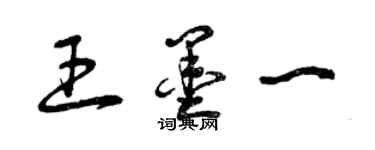 曾庆福王墨一草书个性签名怎么写