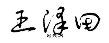 曾庆福王泽田草书个性签名怎么写