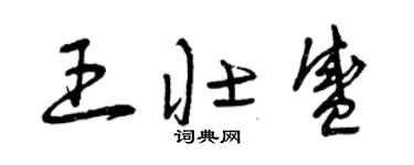 曾庆福王壮盛草书个性签名怎么写