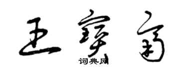 曾庆福王宝齐草书个性签名怎么写