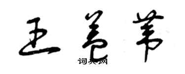 曾庆福王益苇草书个性签名怎么写