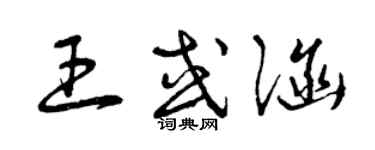 曾庆福王或涵草书个性签名怎么写