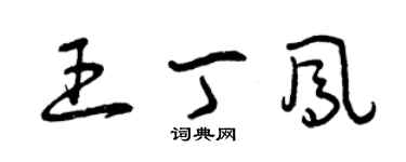 曾庆福王丁凤草书个性签名怎么写