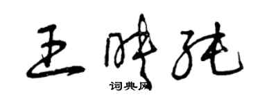 曾庆福王映纯草书个性签名怎么写