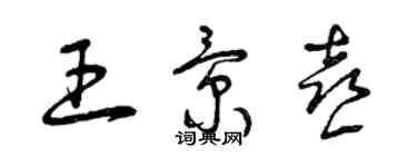 曾庆福王景喜草书个性签名怎么写