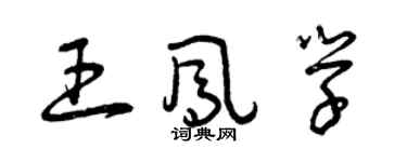 曾庆福王凤学草书个性签名怎么写