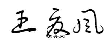 曾庆福王夏风草书个性签名怎么写