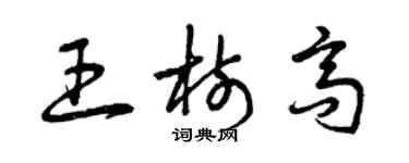 曾庆福王树高草书个性签名怎么写