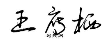曾庆福王雁栖草书个性签名怎么写