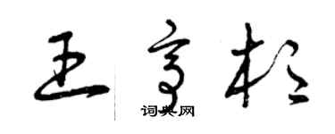 曾庆福王亭杉草书个性签名怎么写