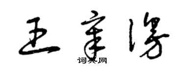曾庆福王章漫草书个性签名怎么写