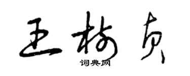 曾庆福王树贞草书个性签名怎么写