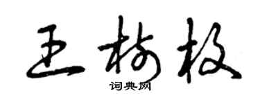 曾庆福王树枚草书个性签名怎么写