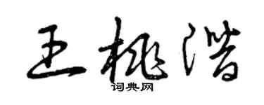 曾庆福王桃潜草书个性签名怎么写