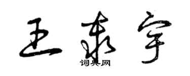 曾庆福王秦宇草书个性签名怎么写
