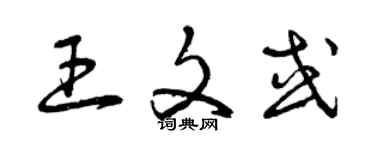 曾庆福王文或草书个性签名怎么写