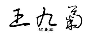 曾庆福王九菊草书个性签名怎么写