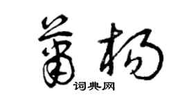 曾庆福萧杨草书个性签名怎么写