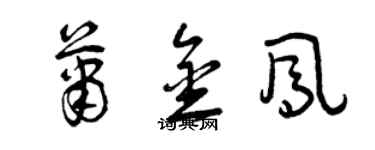 曾庆福萧金凤草书个性签名怎么写