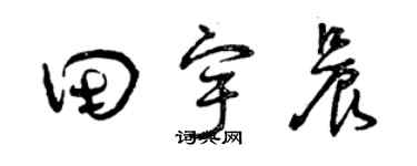 曾庆福田宇晨草书个性签名怎么写