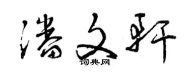 曾庆福潘文轩草书个性签名怎么写
