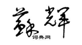 曾庆福苏辉草书个性签名怎么写