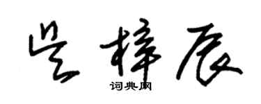 朱锡荣吴梓辰草书个性签名怎么写
