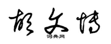 朱锡荣胡文博草书个性签名怎么写