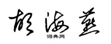 朱锡荣胡海燕草书个性签名怎么写