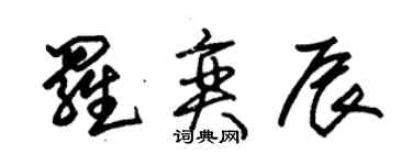 朱锡荣罗奕辰草书个性签名怎么写
