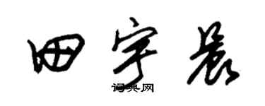 朱锡荣田宇晨草书个性签名怎么写