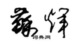 朱锡荣苏辉草书个性签名怎么写