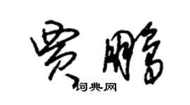 朱锡荣贾鹏草书个性签名怎么写