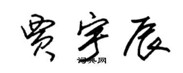 朱锡荣贾宇辰草书个性签名怎么写