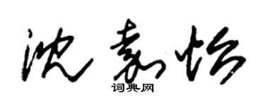朱锡荣沈嘉怡草书个性签名怎么写