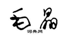 朱锡荣毛晶草书个性签名怎么写
