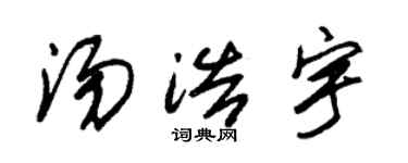 朱锡荣汤浩宇草书个性签名怎么写