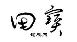 曾庆福田宝草书个性签名怎么写