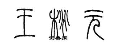陈墨王桃元篆书个性签名怎么写