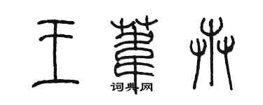 陈墨王苇卉篆书个性签名怎么写