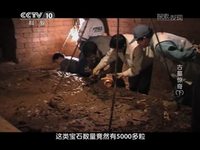 《探索发现》2014-03-22古墓惊奇（下）