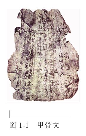 汉字的演变与发展之甲骨文的历史介绍